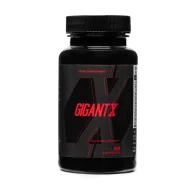 GigantX - zdjęcie produktu 1 z 4